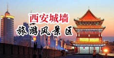 屄日中国陕西-西安城墙旅游风景区